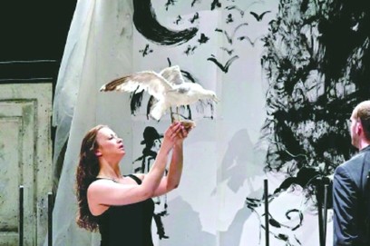 海鸥聊天注册账号全流程指南